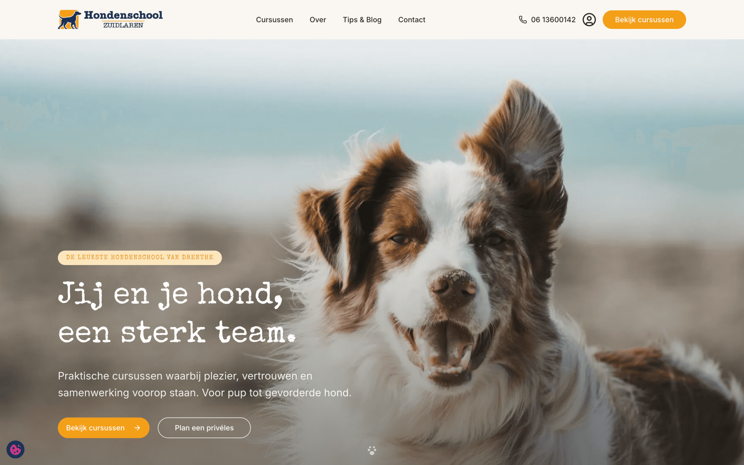 Onze nieuwe online omgeving is live: slimmer, persoonlijker en gemaakt voor jou en je hond