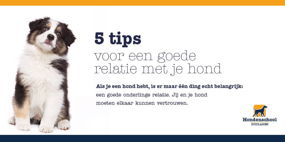 5 tips voor een goede relatie met je hond