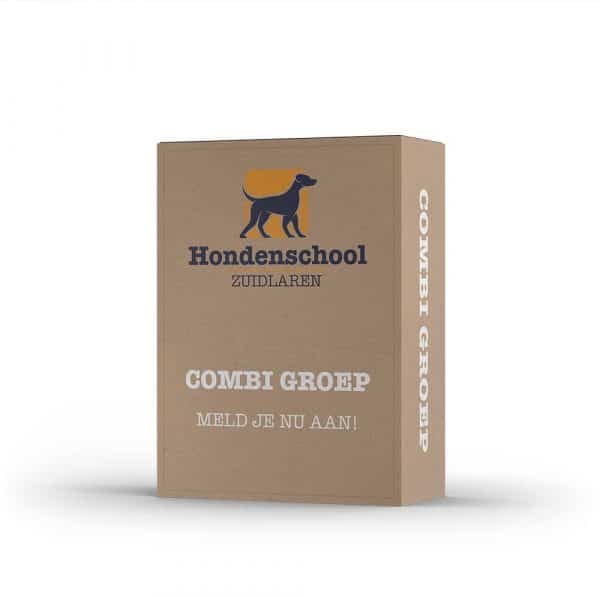 Hondencursus combi groep, Tynaarlo, Drenthe, Hondenschool zuidlaren